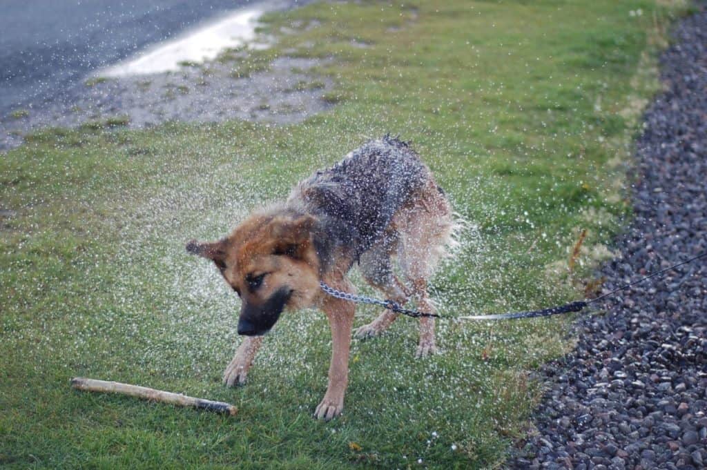 How Can a Dehumidistat Save You Money